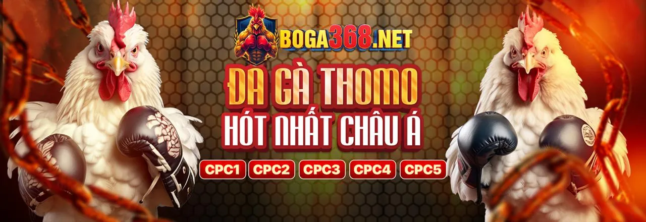 Chính sách bảo mật 88v