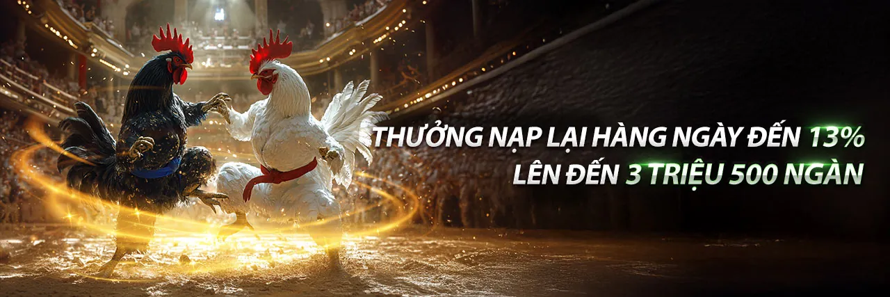 Tổng quan về nền tảng cá cược trực tuyến 88v