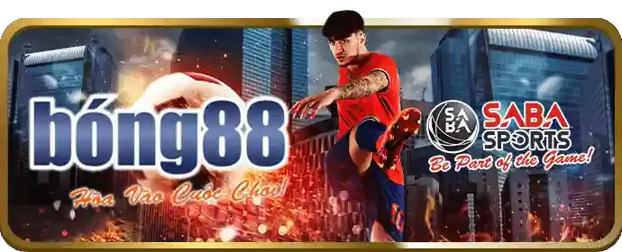 Tổ chức hỗ trợ cờ bạc 88v